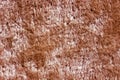 Fur background texture. Winter fashion pattern Royalty Free Stock Photo