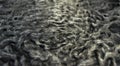 The fur is black karakul lambskin texture, background Royalty Free Stock Photo