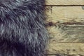 Fur black and silver fox Royalty Free Stock Photo
