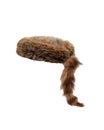 Fur cap Royalty Free Stock Photo