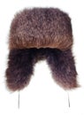 Fur-cap Royalty Free Stock Photo