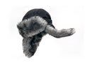Fur cap Royalty Free Stock Photo