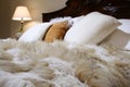 Fur coverlet