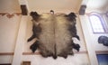 Bear Skin Rug Royalty Free Stock Photo