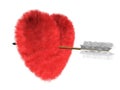Fur Heart is a Target Royalty Free Stock Photo