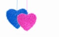 Fur hearts in pink and blue color hanging on rope isolated on white