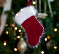 Fur lined stocking in front of xmas tree Royalty Free Stock Photo