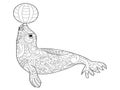 Fur seal coloring vector for adults Royalty Free Stock Photo