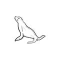 Fur seal hand drawn sketch icon. Royalty Free Stock Photo