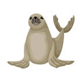 Cheerful little fur seal. Vector isolated animal character on white background