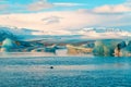 Fur seal swims among glaciers in winter in Iceland. Breathtaking natural landscape Royalty Free Stock Photo