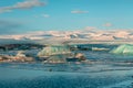 Fur seal swims among glaciers in winter in Iceland. Breathtaking natural landscape Royalty Free Stock Photo