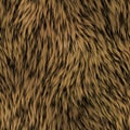 Fur seamless generated texture