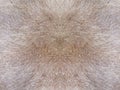 Fur texture