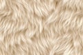 Fur texture background, light pattern of fluffy animal skin close-up Royalty Free Stock Photo