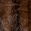 Fur texture brown, shaggy and fluffy, iridescent, shiny Royalty Free Stock Photo