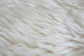 Fur texture Royalty Free Stock Photo