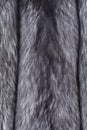 Fur texture