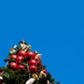 Fur tree with blue sky Royalty Free Stock Photo