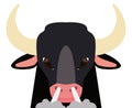 Furious black bull with exhaling smoke, Vector Illustration