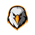 Furious eagle head athletic club vector logo concept isolated on white background.