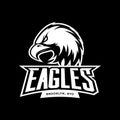 Furious eagle sport mono vector logo concept isolated on dark background.