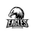 Furious eagle sport vector logo concept isolated on white background