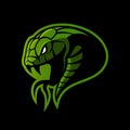 Furious green snake sport vector logo concept isolated on black background.