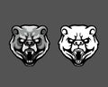 Furious Kodiak Bear Head Cartoon Mascot Logo Badge Royalty Free Stock Photo