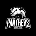 Furious panther sport vector logo concept isolated on dark background.