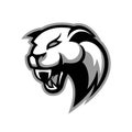 Furious panther sport vector logo concept isolated on white background. Royalty Free Stock Photo