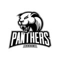 Furious panther sport vector logo concept isolated on white background. Royalty Free Stock Photo