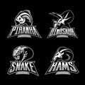 Furious piranha, ram, snake and dinosaur head sport vector logo concept set isolated on black background. Royalty Free Stock Photo