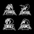 Furious piranha, ram, snake and dinosaur head sport vector logo concept set isolated on black background. Royalty Free Stock Photo