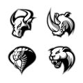 Furious rhino, bull, cobra and panther sport vector logo concept set on white background. Royalty Free Stock Photo