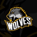 Furious wolf sport vector logo concept on dark background