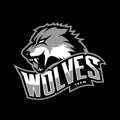 Furious wolf sport vector logo concept isolated on dark background