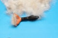furminator for grooming animals. dog hair on a blue background