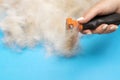 furminator for grooming animals in human hand. dog hair on a blue background Royalty Free Stock Photo