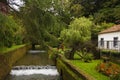 Furnas, Azores Royalty Free Stock Photo