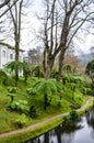 Furnas, Azores, Portugal - Jan 13, 2020: Botanical gardens in the Terra Nostra Garden area in Furnas. Water stream surrounded by