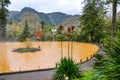Furnas, Azores, Portugal - Jan 13, 2020: Hot spring iron water thermal pool in Terra Nostra Garden. People swimming in brown color