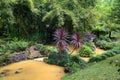 Terra Nostra Garden in Furnas town, Sao Miguel island, Azores, Portugal Royalty Free Stock Photo