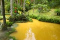 Terra Nostra Garden in Furnas town, Sao Miguel island, Azores, Portugal Royalty Free Stock Photo