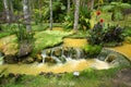 Terra Nostra Garden in Furnas town, Sao Miguel island, Azores, Portugal Royalty Free Stock Photo