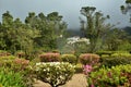 Furnas town in vulcanic mist, Sao Miguel, Portugal