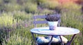 Furniture folding table and chairs for outdoor recreation in a blooming lavender field with a vase of lavender.