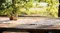 furniture picnic table top