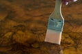 Furniture restoration. Hand oiling a wood table with a brush.