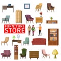 Furniture shop interior set of furniture and home accessories. Sofa, chairs, armchairs, bookshelf, plants, lamps, table